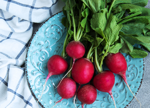 Radishes – Restore, Balance & Refresh