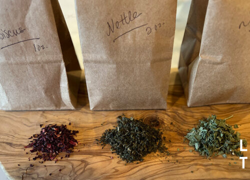 Cold Brew Glow: Crafting the Perfect Nettle Tea Infusion  